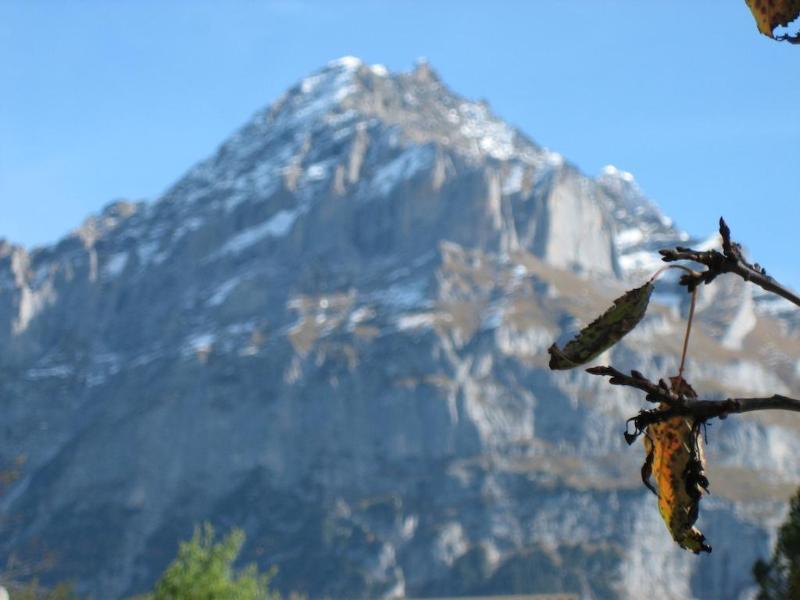 Hotel Gletschertal Grindelwald Exterior foto